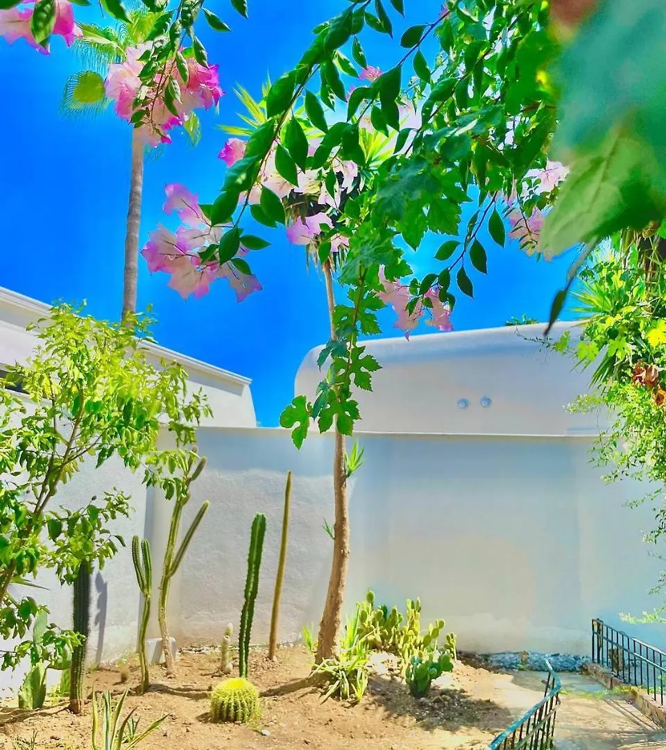 Отель Beachwood Villas Мармарис